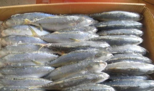 超市里最不干净的3种食物，白送售货员都不要，很多主妇常买水产品