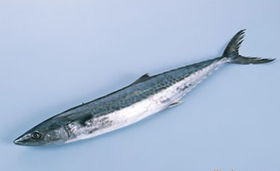 深海珍馐 优质带鱼的魅力与供应之道