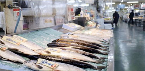 外交部发声仅是序曲，中国三张王牌严阵以待日本核污水排海，守护水产品安全防线