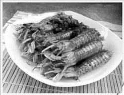 食用水产品必须蒸熟煮透，筑牢健康安全防线